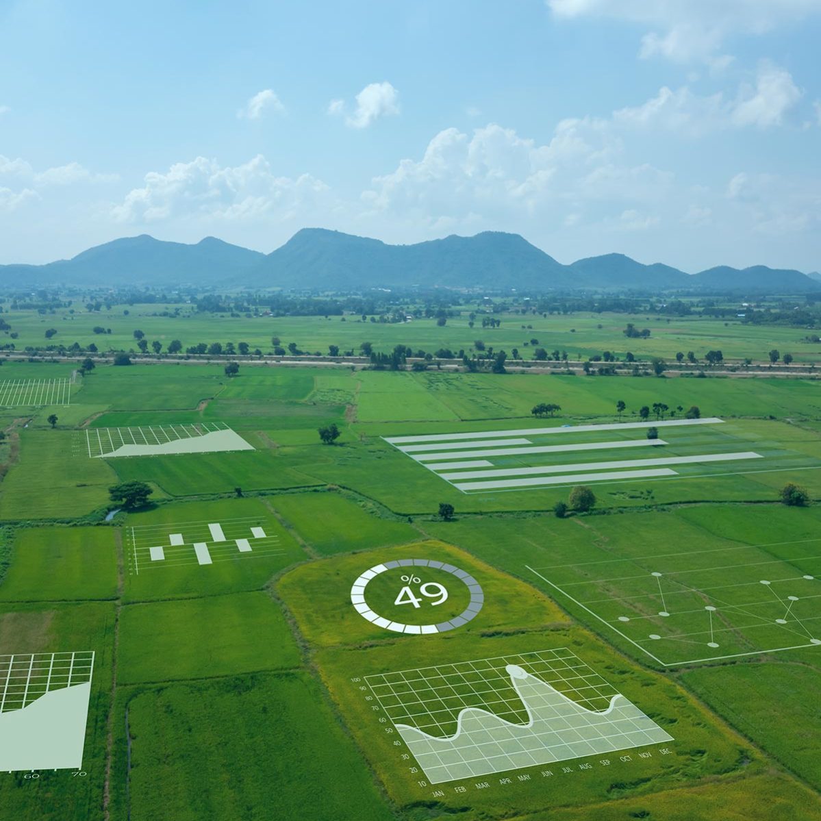 Supporting digital transformation for a large agribusiness compan