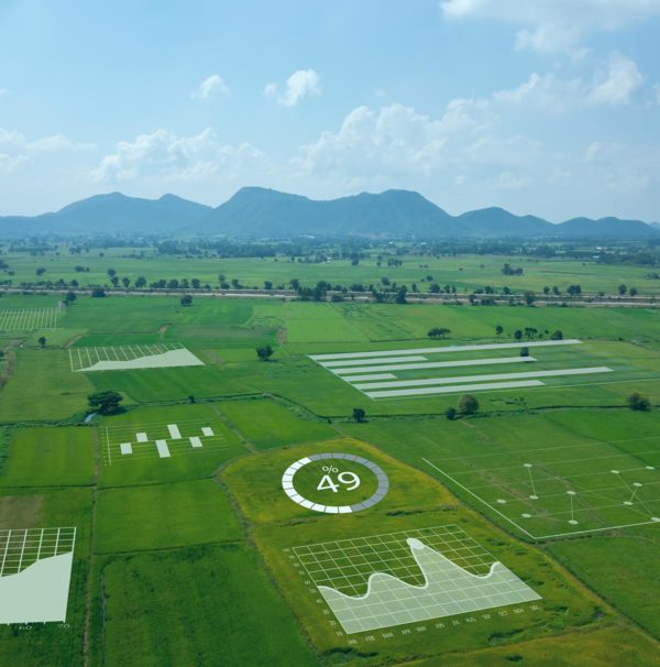 Supporting digital transformation for a large agribusiness compan